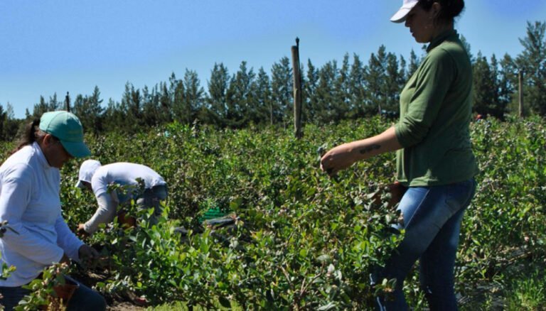 El gremio de los trabajadores rurales retomó el control de Osprera, su obra social