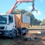 Cantabria confirma 19 animales fallecidos hasta el 23 de agosto por la EHE de los 85 animales afectados por la enfermedad