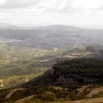 Tensión con la Generalitat catalana: el sector agrícola y ganadero pide más participación en la creación de la Agencia de la Naturaleza Tensión con la Generalitat catalana: el sector agrícola y ganadero pide más participación en la creación de la Agencia de la Naturaleza