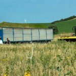 Continúa la apatía operativa en el mercado cerealista, donde repiten las cotizaciones casi de forma generalizada en la lonja de Ebro