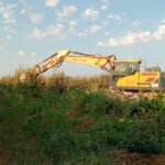 Arrancadas casi 2,5 hectáreas de una finca de perales afectadas por fuego bacteriano para disminuir su avance