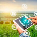 El Ministerio de Agricultura destina más de 37 millones para financiar 65 proyectos innovadores en el sector agroalimentario y forestal