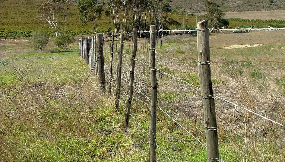 La provincia donde más tierras se venden: Mendoza, a la cabeza del mercado inmobiliario rural