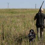 El periodo de caza en media veda se abre este martes 20 en Castilla-La Mancha con jueves, sábados y domingos como días hábiles