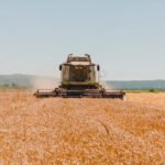 Cosecha de Galicia inicia su segunda campaña de cebada gallega, el exitoso proyecto de cultivo de Corporación Hijos de Rivera en su tierra