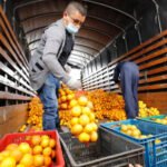 Los costes de producción de los cítricos han subido un 18%: vender en origen por debajo de 0,27 €/kg en naranjas y 0,33 en mandarinas sería ilegal