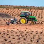 Los viticultores tienen claro qué quieren en esta vendimia: que se cumpla la Ley de la Cadena y se publiquen los costes de la uva