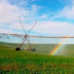 Primer rechazo tajante a la entrada en vigor de la Ley de Restauración de la Naturaleza y el miedo a que frene el regadío de Tierra de Barros