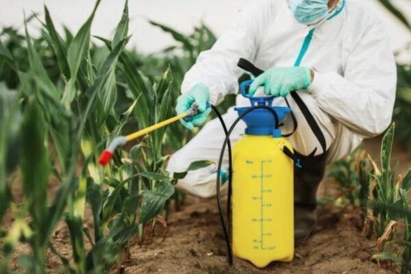 “La fuente líquida es más eficiente”: los cultivos se nutren con una fertilización ‘a la carta’