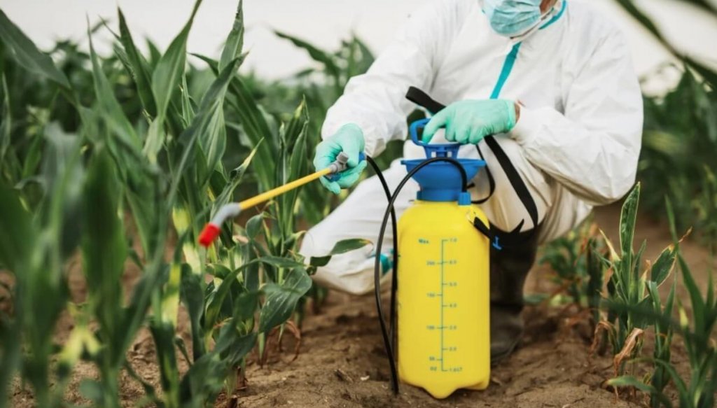 “La fuente líquida es más eficiente”: los cultivos se nutren con una fertilización ‘a la carta’