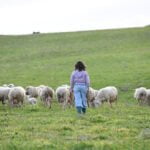 Campaña para impulsar el consumo de alimentos lácteos de Origen España para fomentar el relevo generacional en la ganadería