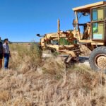 La Diputación de Ávila interviene en 15 pueblos de La Moraña contra los topillos mientras piden medidas por la plaga en La Rioja Alta