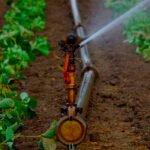 El Miteco adjudica provisionalmente 74 millones para la digitalización de comunidades de usuarios de agua para regadío