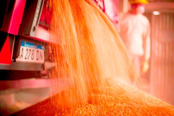 Moliendo récords: la empresa familiar del agro que fue certificada por su compromiso social