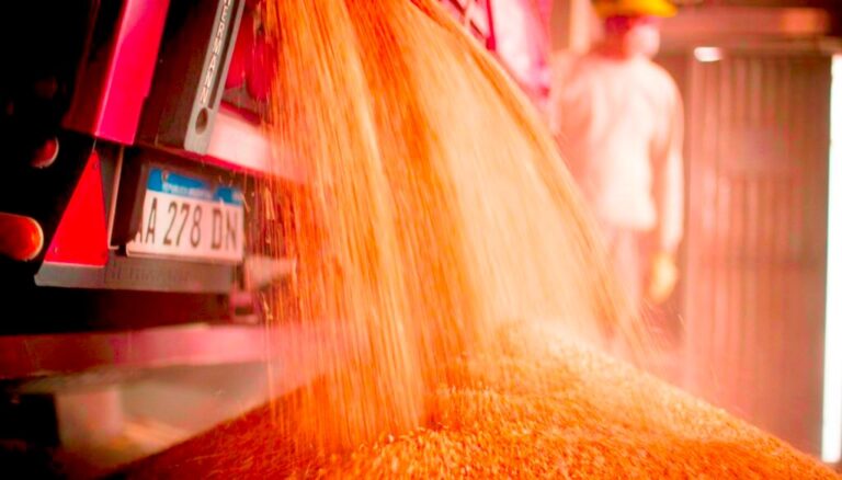 Moliendo récords: la empresa familiar del agro que fue certificada por su compromiso social