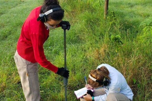 Los mapas de brechas de carbono orgánico del suelo ya están digitalizados y serán interactivos