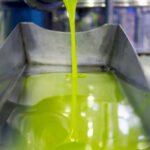 El Ministerio de Agricultura publica en el BOE la nueva extensión de normas del sector del aceite de oliva español