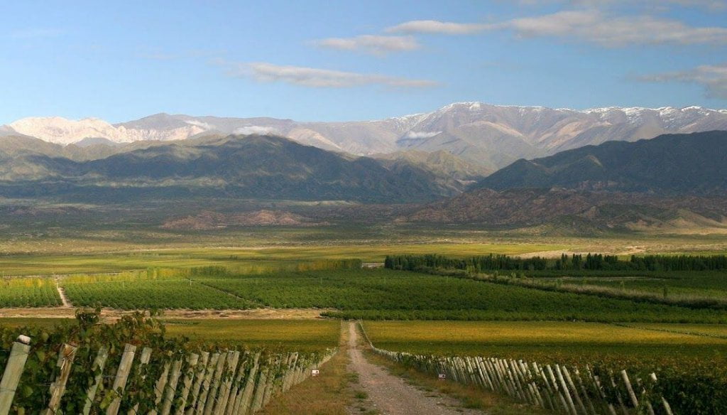 Vinos de calidad: el plan de San Juan para recuperar protagonismo y competirle al Valle de Uco