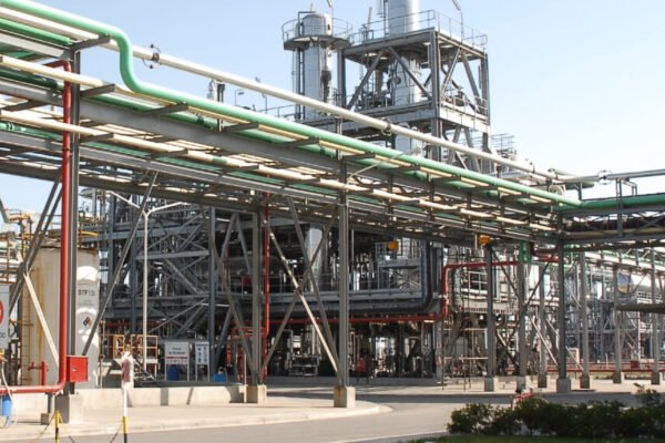 Radiografía del biodiésel en Argentina, el sexto productor a nivel mundial