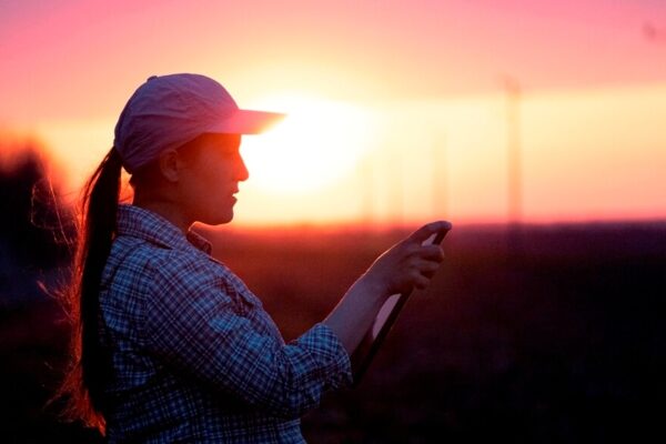 La revolución del e-commerce: una “góndola” digital del agro que no tiene techo