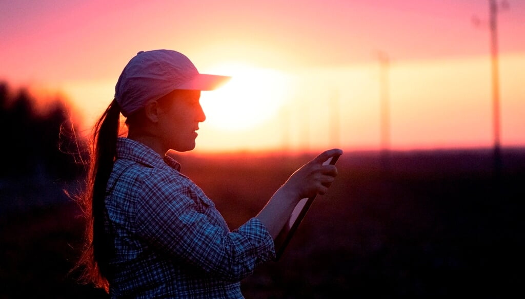 La revolución del e-commerce: una “góndola” digital del agro que no tiene techo