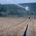 Aumento del regadío eficiente en el campo español: el 80,57% cuenta con sistemas de riego localizado, automotriz o de aspersión