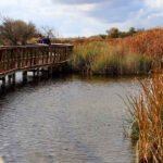 La Junta de CLM y UPA analizan soluciones para recuperar el Parque Nacional de Las Tablas de Daimiel y su entorno