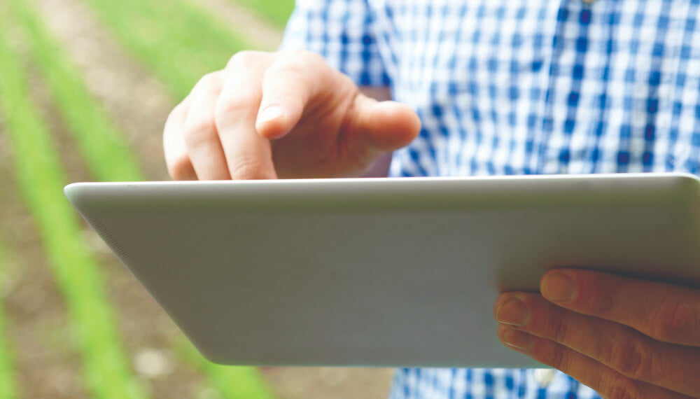 “La próxima frontera 4.0”: llega el 1° Foro Internacional Fruticultura y Vitivinicultura