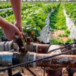 Los regantes reclaman una segunda modernización con más tecnología y digitalización y más equilibrio en los usos del agua Los regantes reclaman una segunda modernización con más tecnología y digitalización y más equilibrio en los usos del agua