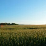 Defienden que hay que valorar de manera positiva la labor del sector agrario en la lucha frente al cambio climático