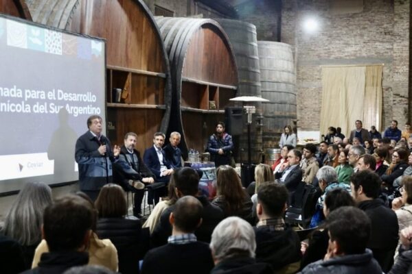 Mirando al sur: la industria del vino busca fortalecer más de 3.600 hectáreas en la Patagonia