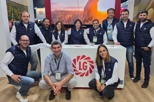 La genética comienza a aportar soluciones contra la chicharrita del maíz