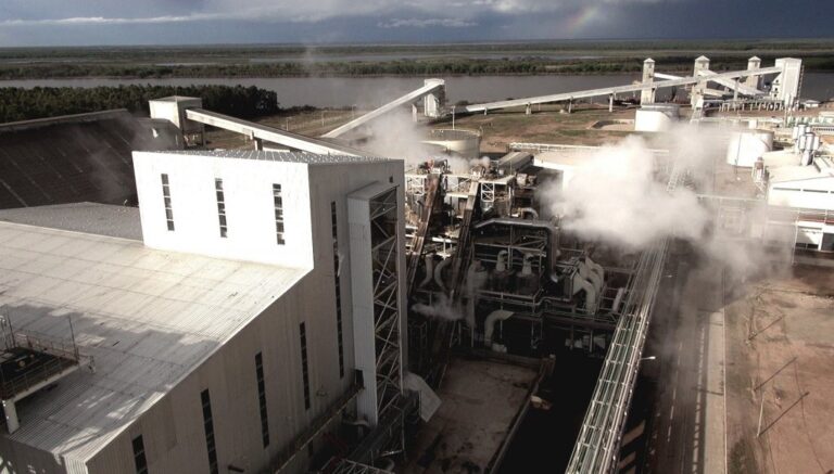Pese a la mayor cosecha, la soja paraguaya sigue siendo el salvavidas de la industria aceitera local