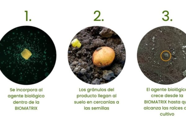 La tecnología granulada en el agro revoluciona la viabilidad de los biológicos
