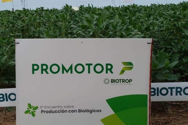 Con una “cuarta generación”, los biológicos apuntan a las legumbres y como arma contra la chicharrita Con una “cuarta generación”, los biológicos apuntan a las legumbres y como arma contra la chicharrita
