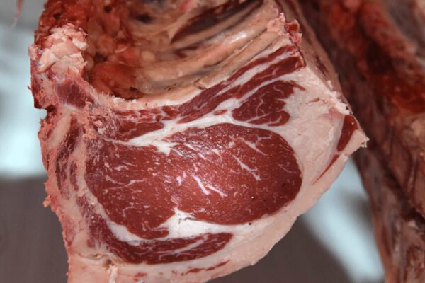 Anticipan subas en el precio de la carne vacuna: la hacienda y los mostradores ya no resisten el estancamiento