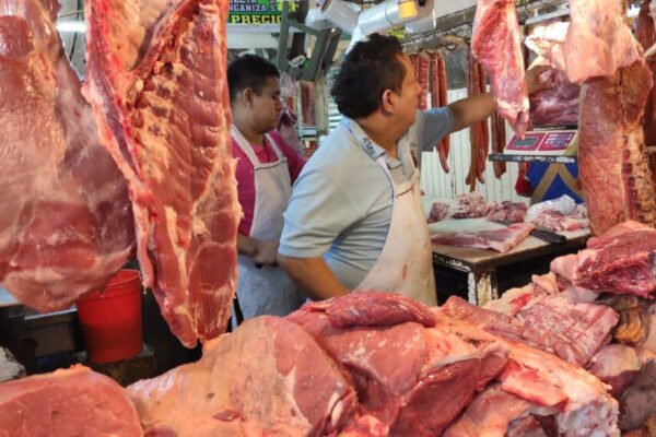 Carne vacuna: la lenta recuperación de los salarios mantiene en un freezer la suba de precios