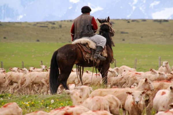 Trabajadores rurales: en octubre, la prestación por desempleo llegará hasta los $ 177.000