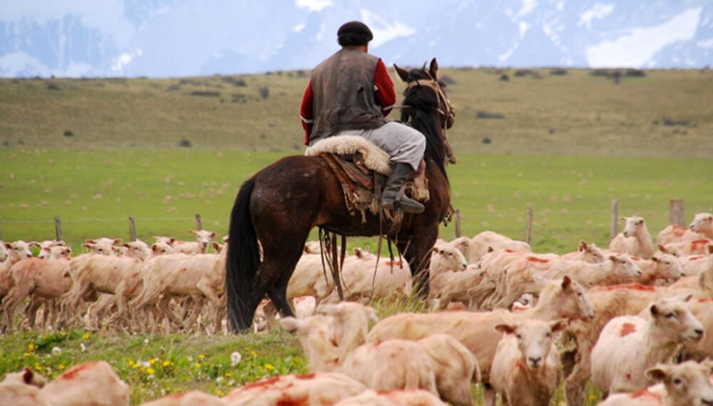 Trabajadores rurales: en octubre, la prestación por desempleo llegará hasta los $ 177.000