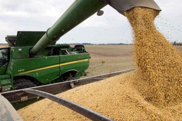Retenciones: con una baja al 25% para soja, la liquidación podría crecer en U$S 8.600 millones Retenciones: con una baja al 25% para soja, la liquidación podría crecer en U$S 8.600 millones