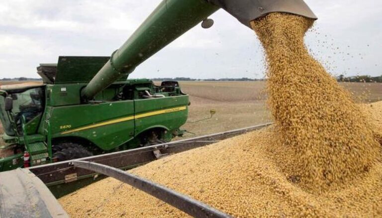 Retenciones: con una baja al 25% para soja, la liquidación podría crecer en U$S 8.600 millones