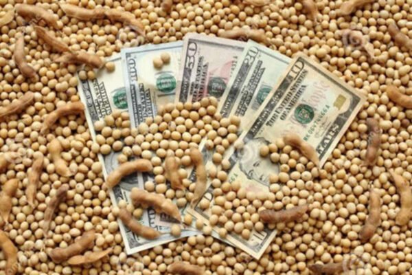 “Asfixia fiscal”: ante el derrumbe de precios, se multiplican los reclamos del campo por las retenciones “Asfixia fiscal”: ante el derrumbe de precios, se multiplican los reclamos del campo por las retenciones