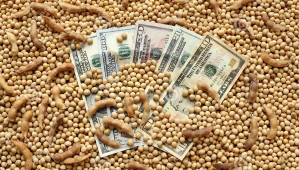 “Asfixia fiscal”: ante el derrumbe de precios, se multiplican los reclamos del campo por las retenciones
