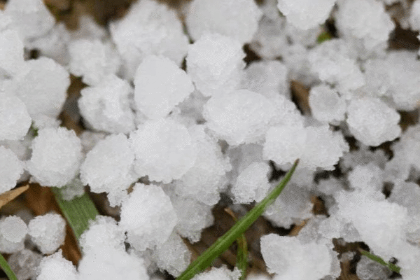 En la zona núcleo cayó graupel y ahora le rezan a Santa Rosa para que traiga lluvias