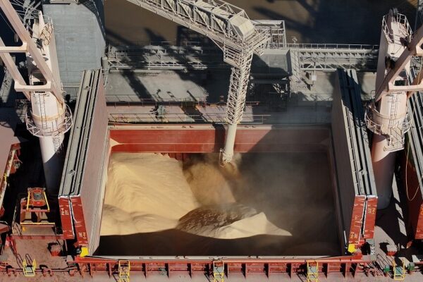 Campeón mundial: Argentina vuelve a liderar las exportaciones globales de harina de soja