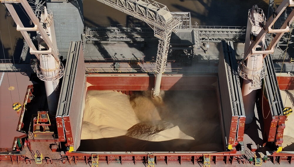 Campeón mundial: Argentina vuelve a liderar las exportaciones globales de harina de soja