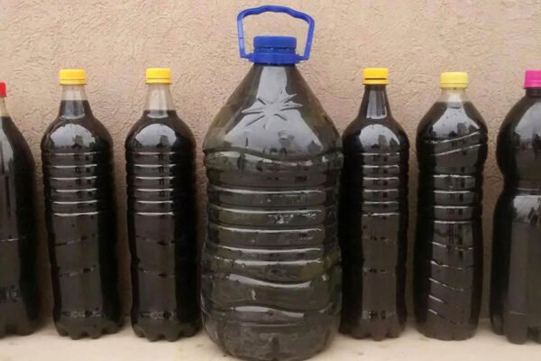 Cómo elaborar un abono líquido y ecológico para la huerta