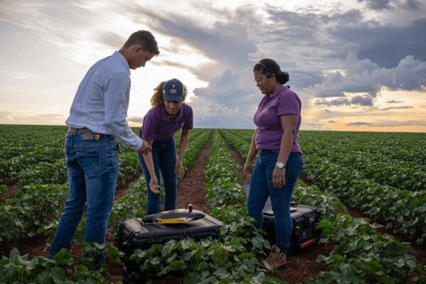 La sostenibilidad en el agro, como motor de crecimiento para nuevos mercados, productos y servicios