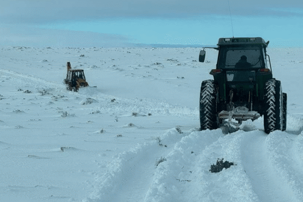 La Niña se aleja como un gran riesgo, pero los vientos polares son otro frente en contra de las lluvias