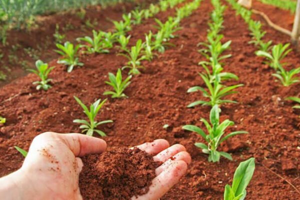 La microbiología busca ganar espacios en el sistema productivo argentino